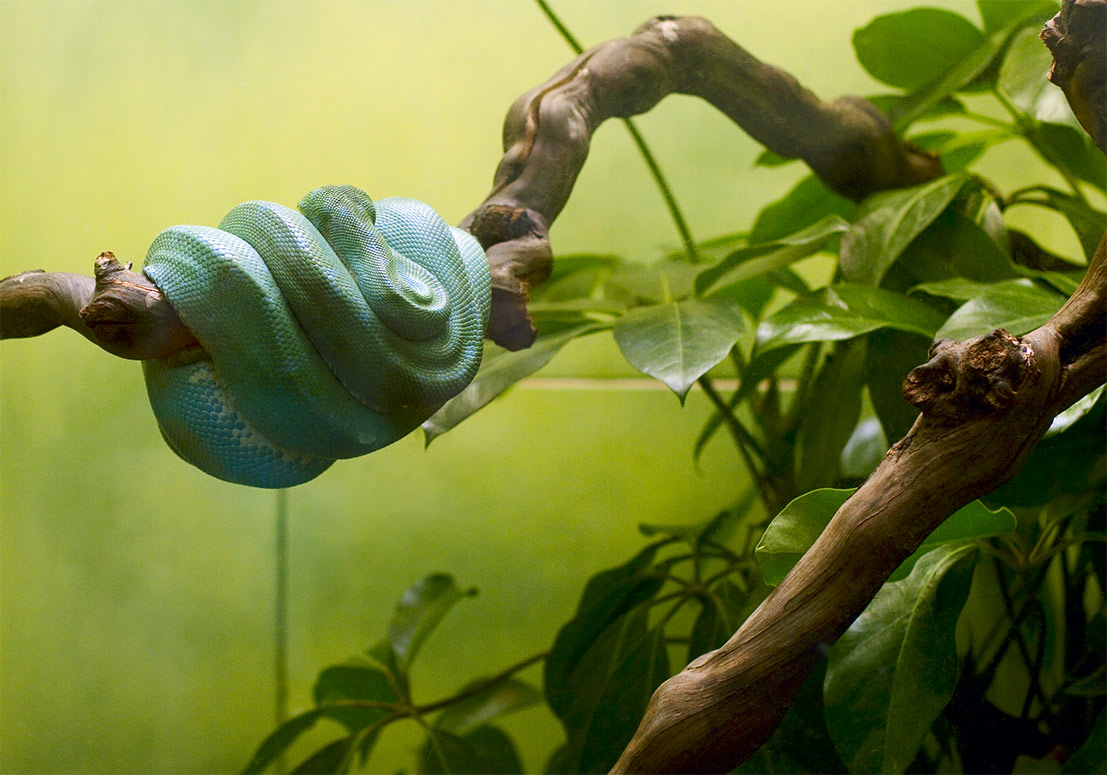 Fotografie von ChronicPest für DesignCrowd (Community Contests) | Design #9049882