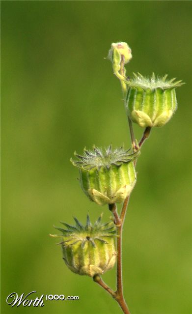 Photography by rdchdwck