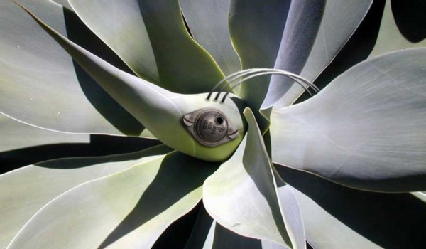 Photoshop Design by vacanebuna for DesignCrowd (Community Contests) | Design #9053880