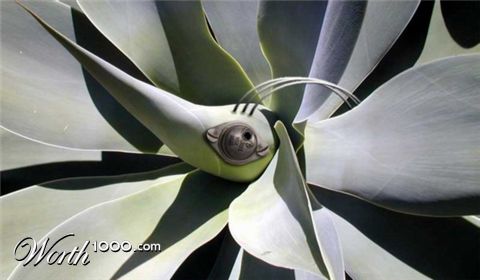 Photoshop Design by vacanebuna