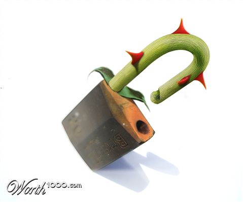 Photoshop Design by bolsher