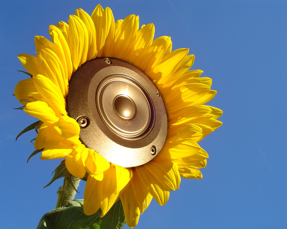 Photoshop Design by petino for DesignCrowd (Community Contests) | Design #9053696