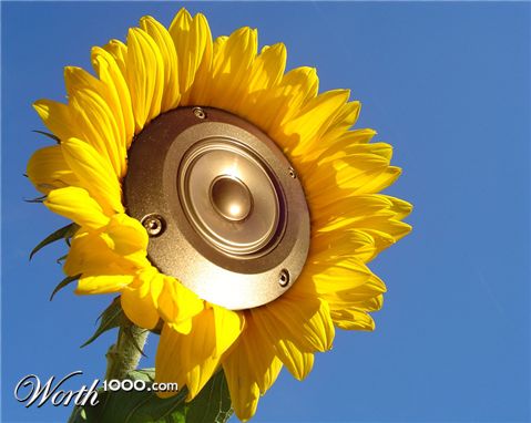 Photoshop Design by petino