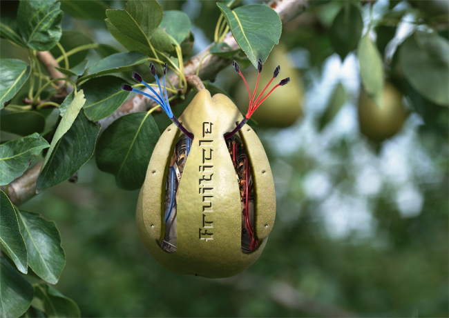 Design Photoshop par gali22 pour DesignCrowd (Community Contests) | Design #9053826