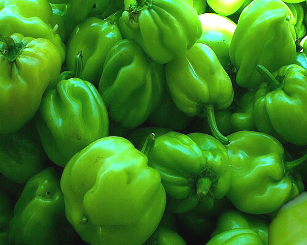 Photography by allneonlike for DesignCrowd (Community Contests) | Design #9049865