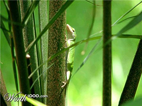 Photography by FireBallXL15