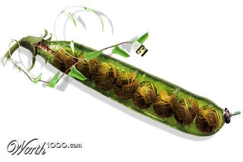 Photoshop Design by Terrence