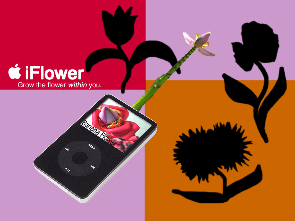 Photoshop-Design von emilylt87 für DesignCrowd (Community Contests) | Design #9053905