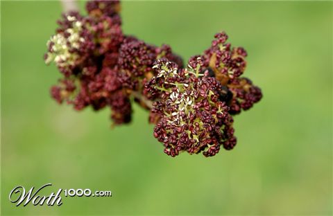 Photography by TrendyWendy