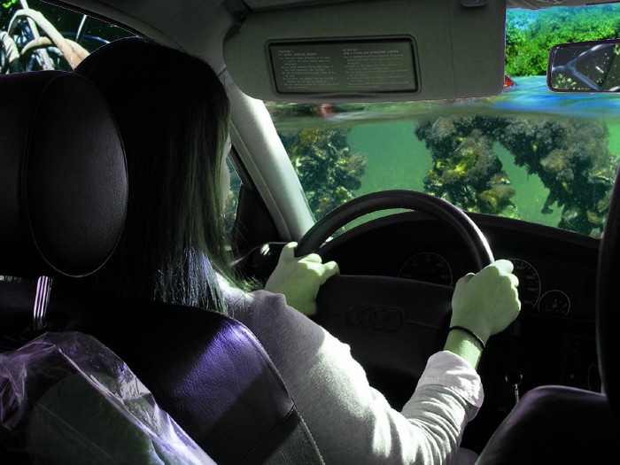 Photoshop Design by vacanebuna for DesignCrowd (Community Contests) | Design #9054967