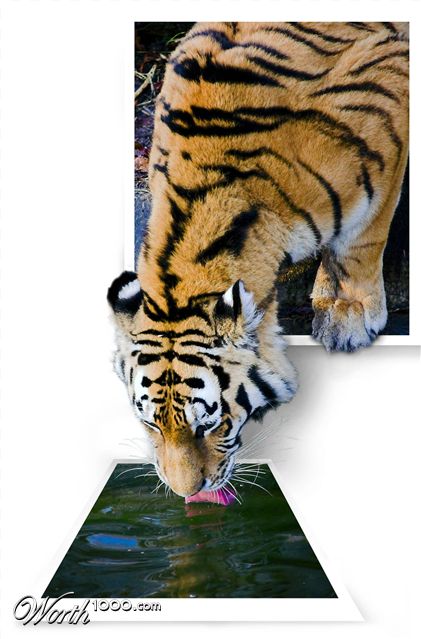 Photoshop Design by MammaBee