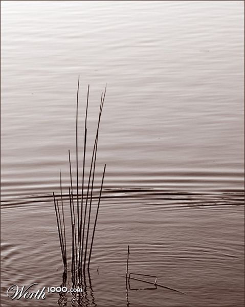Photography by kimbomac