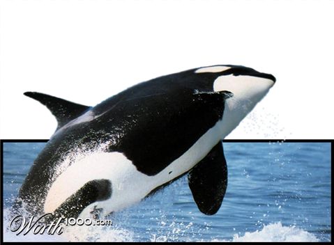 Photoshop Design by mar0was