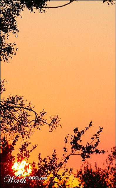 Photography by Juicer