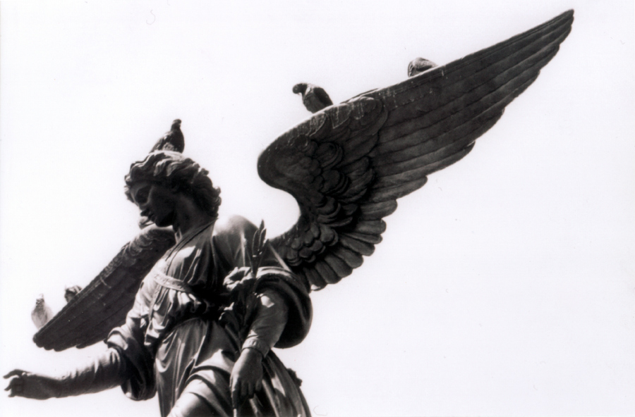 Fotografie von Spacejunk für DesignCrowd (Community Contests) | Design #9039221