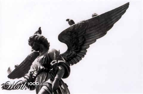 Photography by Spacejunk