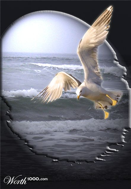 Photoshop Design by drogers