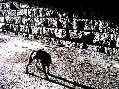 Photography by fabfella10