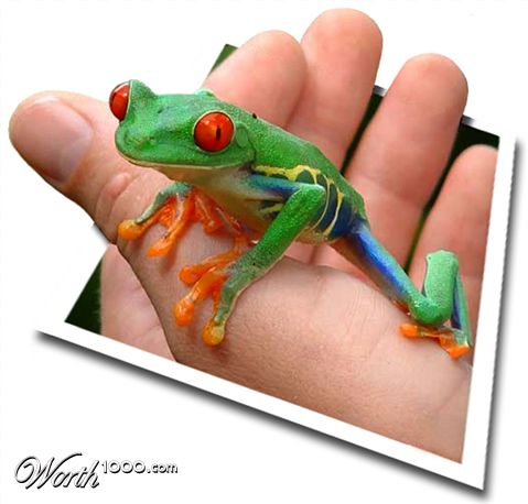 Photoshop Design by JoLeKo