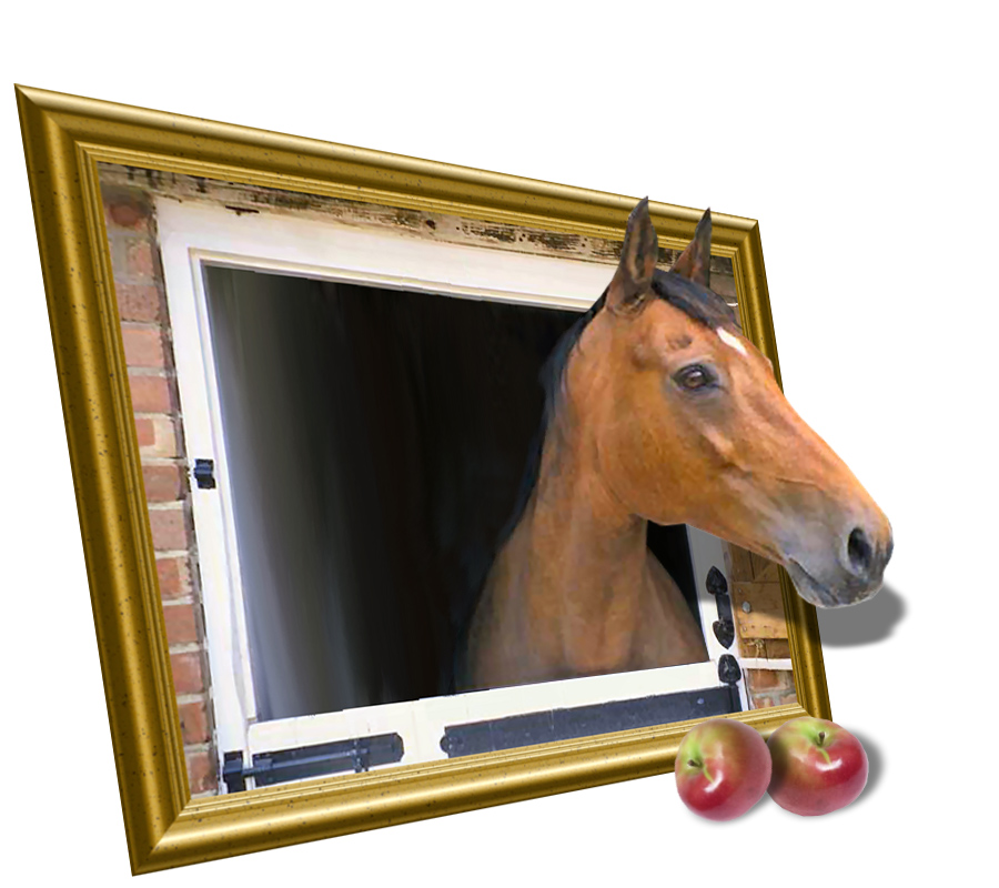 Photoshop Design by witchiepoo for DesignCrowd (Community Contests) | Design #9039414