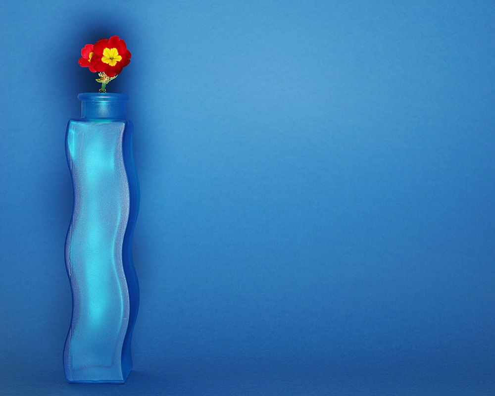 Fotografie von SigloV für DesignCrowd (Community Contests) | Design #9039149