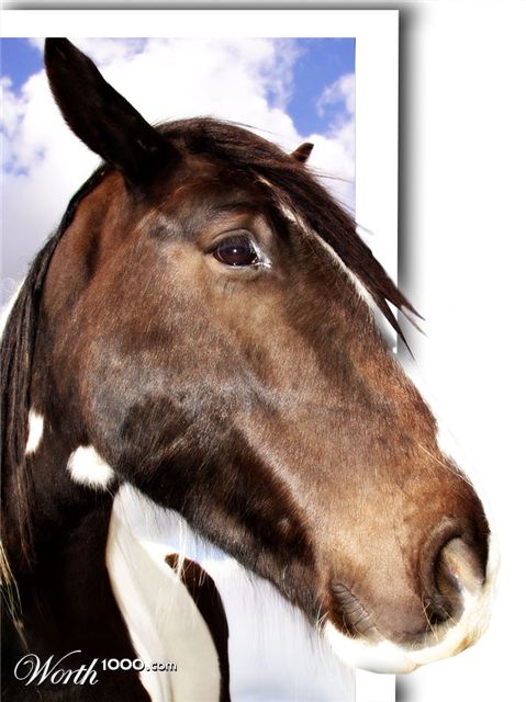 Photoshop Design by deaddonkeysrule