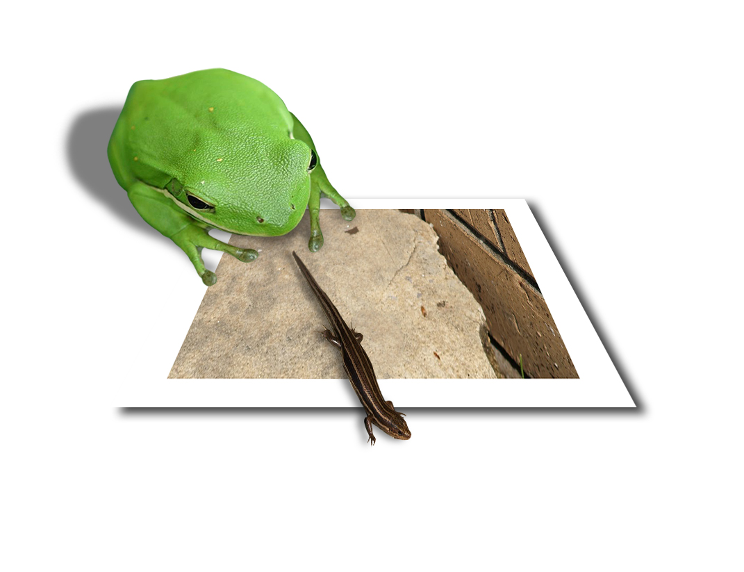 Diseño de Photoshop por benchong para DesignCrowd (Community Contests) | Diseño #9039560