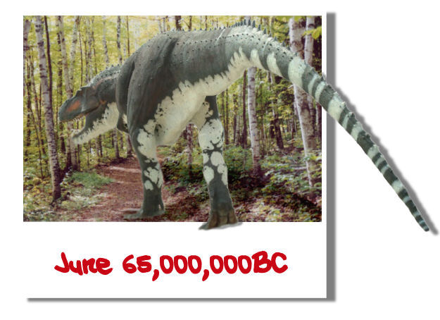 Photoshop Design by Irrwitzer for DesignCrowd (Community Contests) | Design #9039480