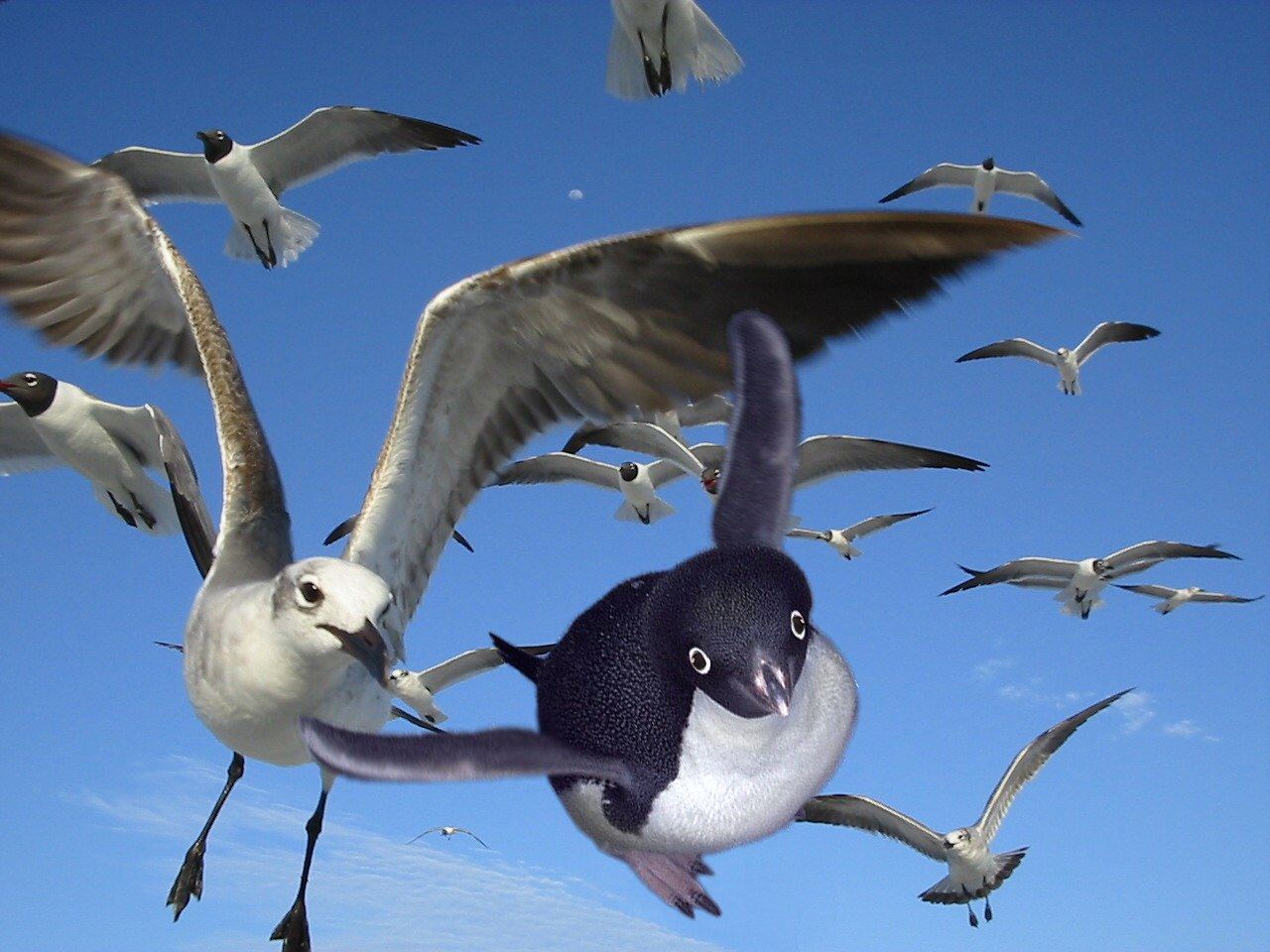 Photoshop-Design von ChrisRu für DesignCrowd (Community Contests) | Design #9049607