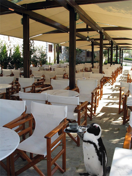 Photoshop-Design von velde046 für DesignCrowd (Community Contests) | Design #9049616