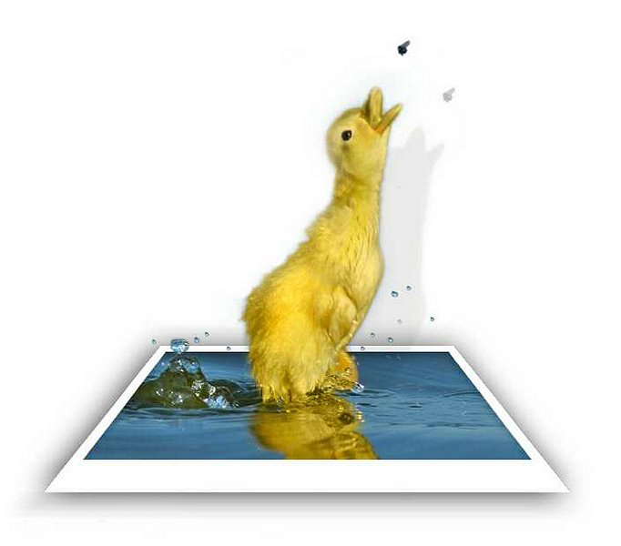 Design Photoshop par emersonguimaraees pour DesignCrowd (Community Contests) | Design #9039623