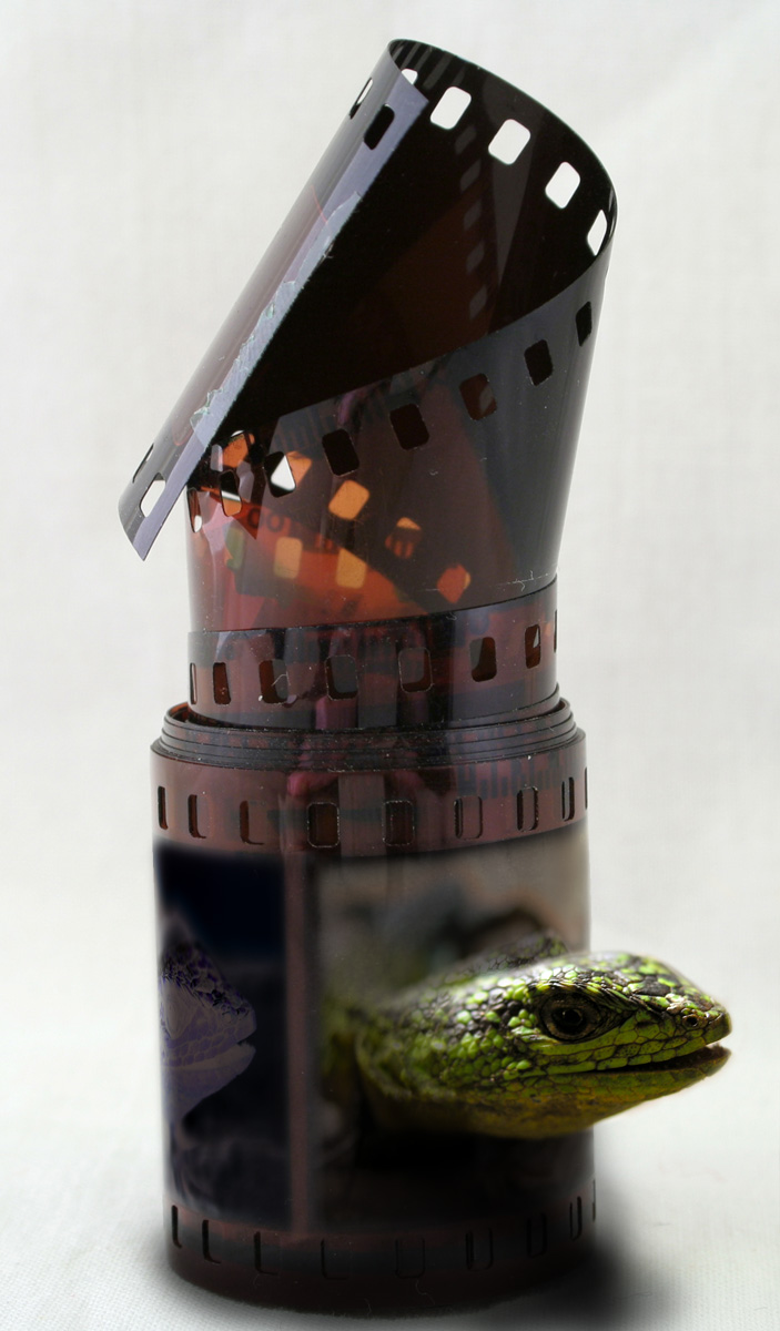 Photoshop Design by Settedinove for DesignCrowd (Community Contests) | Design #9039826