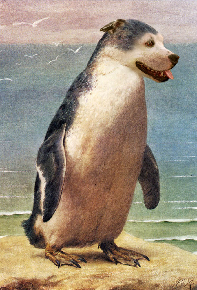 Photoshop Design by MA1947 for DesignCrowd (Community Contests) | Design #9049618