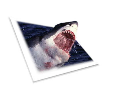 Photoshop Design by incainca for DesignCrowd (Community Contests) | Design #9039790