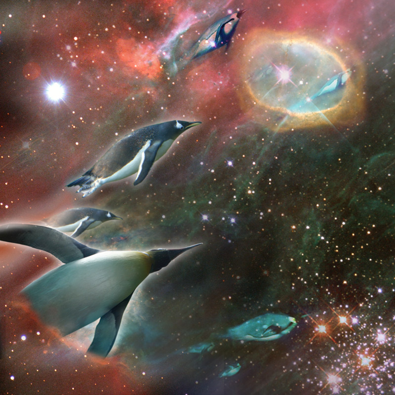 Diseño de Photoshop por NexusStar para DesignCrowd (Community Contests) | Diseño #9049638