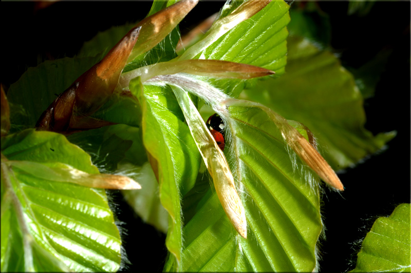 Fotografía por Choane para DesignCrowd (Community Contests) | Diseño #9056157