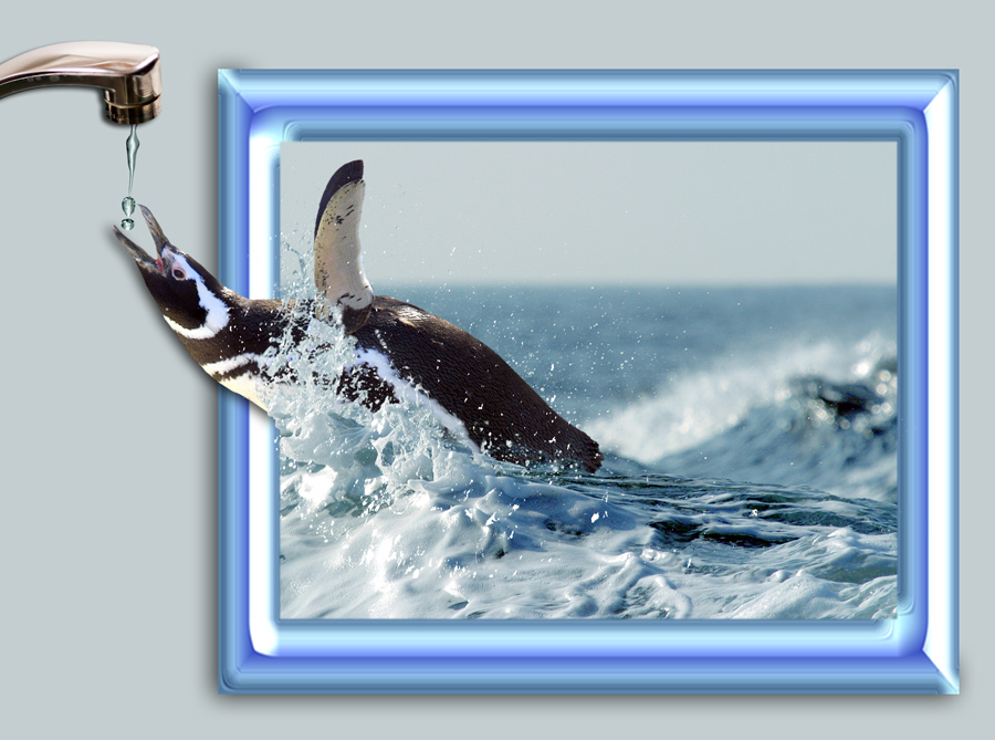 Photoshop Design by drogers for DesignCrowd (Community Contests) | Design #9049646