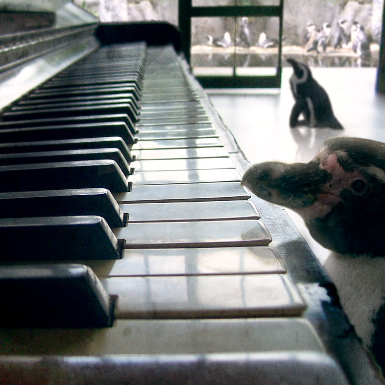 Diseño de Photoshop por INFINIUM para DesignCrowd (Community Contests) | Diseño #9049678