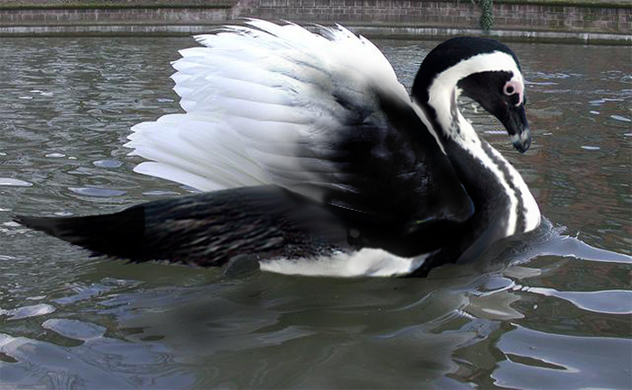 Design Photoshop par ellall pour DesignCrowd (Community Contests) | Design #9049782