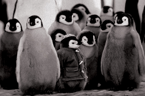 Design Photoshop par BC pour DesignCrowd (Community Contests) | Design #9049710