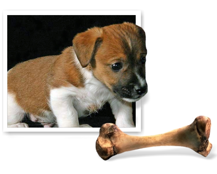 Photoshop Design by fpvaldez for DesignCrowd (Community Contests) | Design #9040023