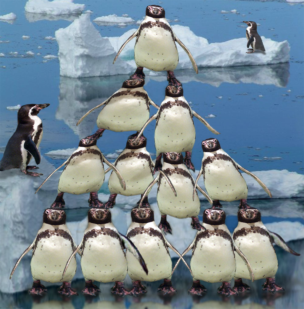 Photoshop Design by EyEars for DesignCrowd (Community Contests) | Design #9049756