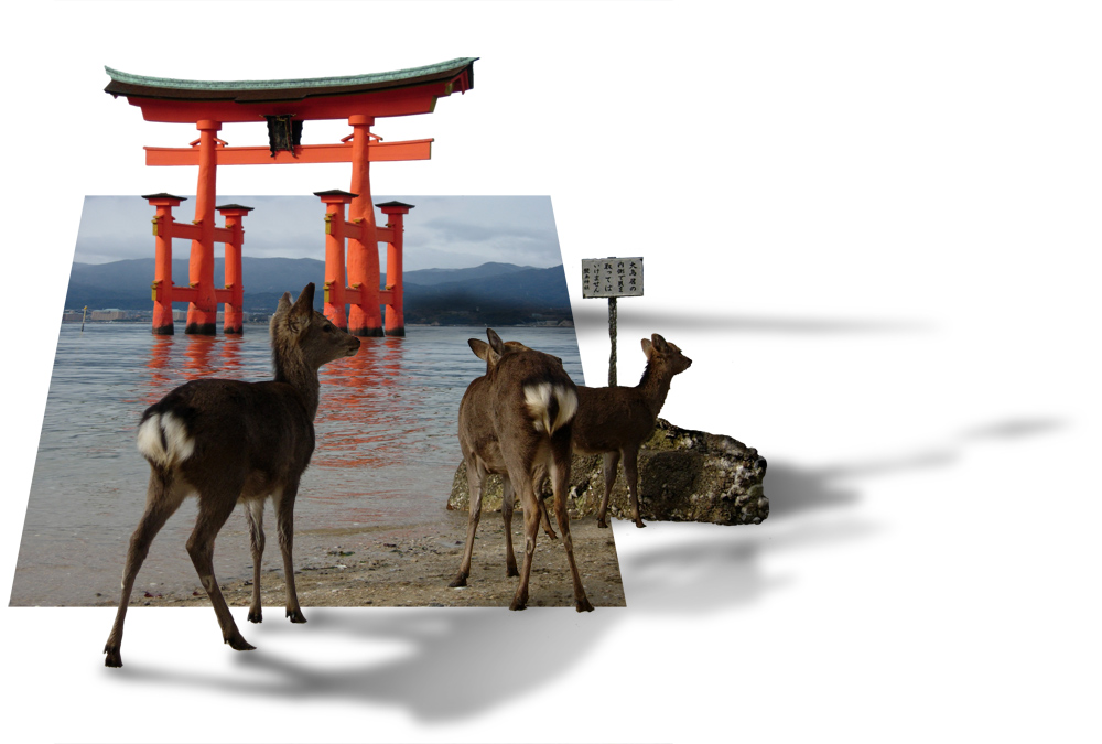 Photoshop Design by melissadiane for DesignCrowd (Community Contests) | Design #9039930