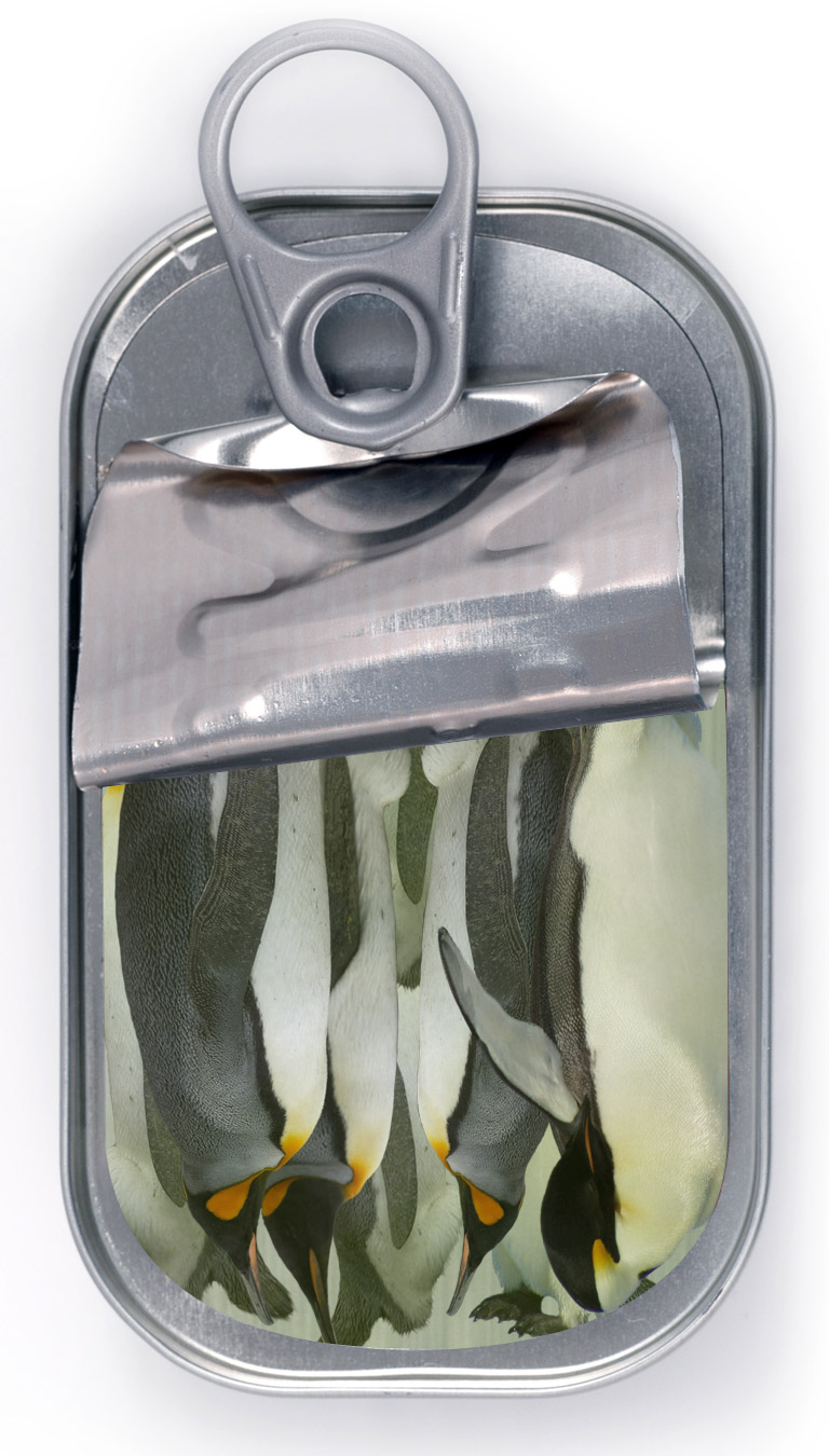 Photoshop Design by c1010010 for DesignCrowd (Community Contests) | Design #9049713