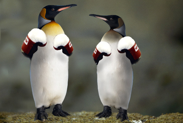 Diseño de Photoshop por kousalya para DesignCrowd (Community Contests) | Diseño #9049746