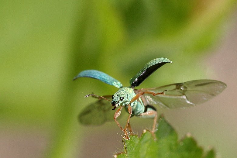 Fotografía por TyChO para DesignCrowd (Community Contests) | Diseño #9056163