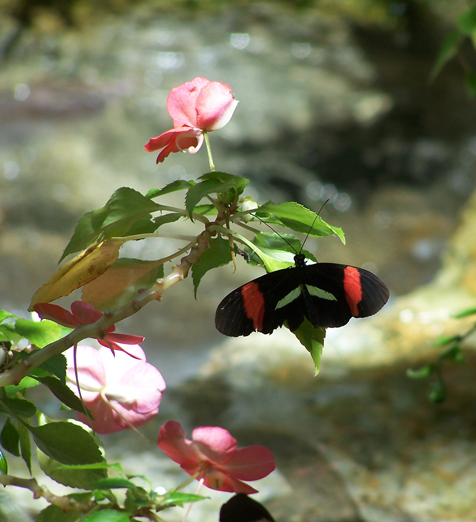 Photography by justin13 for DesignCrowd (Community Contests) | Design #9056201