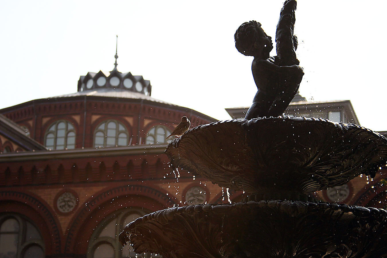 Fotografía por Exaspera para DesignCrowd (Community Contests) | Diseño #9052553