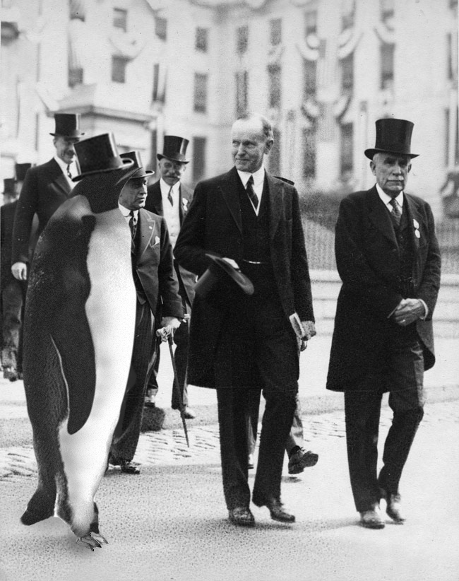 Photoshop-Design von donzee für DesignCrowd (Community Contests) | Design #9049856