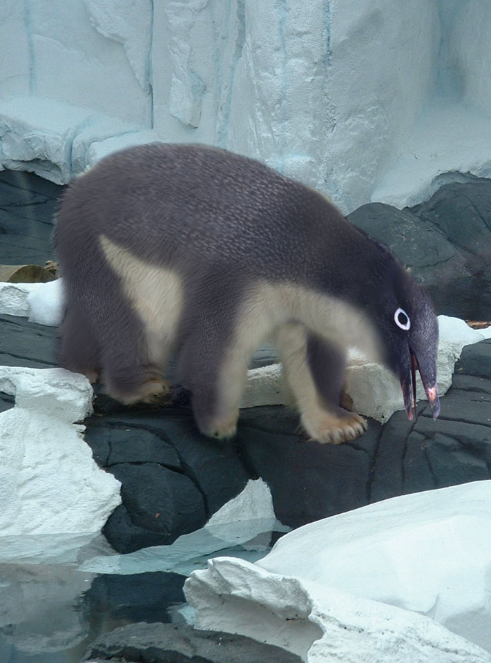 Photoshop-Design von h2oscienceguy081 für DesignCrowd (Community Contests) | Design #9049889